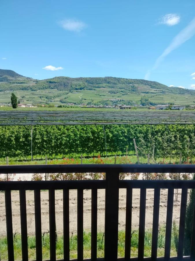 Agritur Lavanda Nave San Rocco Exterior foto